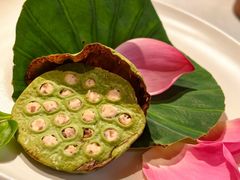 -叶叶菩提·晋福宫