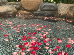 -厦门日月谷温泉渡假村