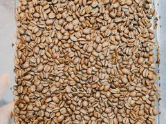 -Again Coffee Roaster(香蜜湖店)