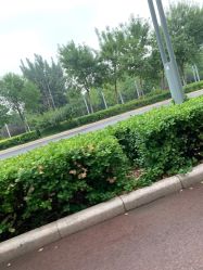 -HEYAN长风荷妍专业脱毛美肤
