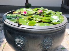 -广富林宰相府酒店·水云间