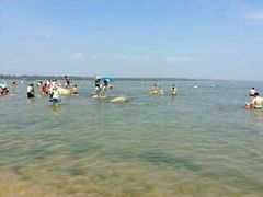 -老虎石海上公园