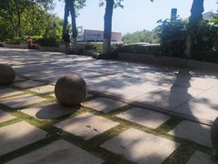 -上海市保健医疗中心