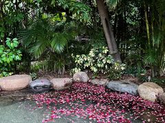 -厦门日月谷温泉渡假村