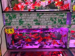 -三旗百汇商品城