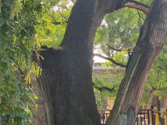 -仓颉庙