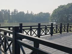 -海珠湖公园