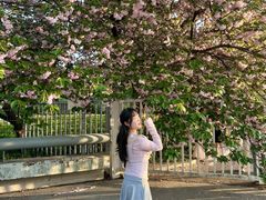 -南京奥林匹克体育中心