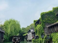 -乌镇西栅景区