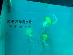 -长春农业博览园