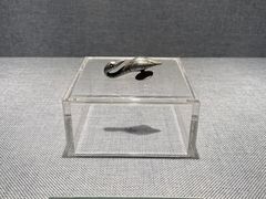 -浙江省博物馆(孤山馆区)