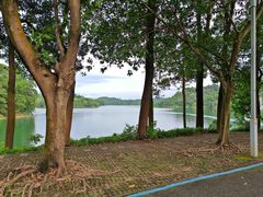 -红花湖景区