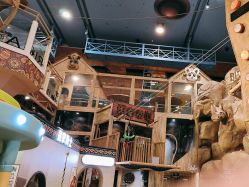 -卡通尼·Safari非洲探索乐园·生日会(金桥国际商业广场店)