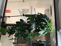 -小蓝鲸游泳培训基地(积水潭店)