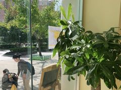-勇气斑马·巴西柔术&跆拳道(浦东三林店)