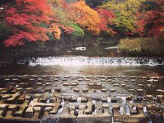 -比叡山