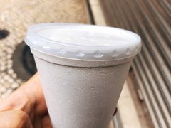 椰子雪糕-洪馨椰子