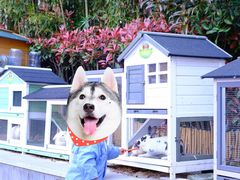 -上海崇明金茂凯悦酒店