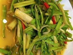 -蔡阿水羊肉店