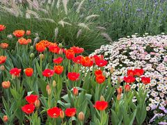 -白云山索道-售票处