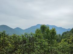 -富春桃源风景区