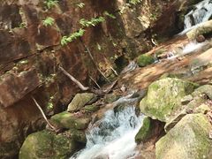 -五女峰国家森林公园