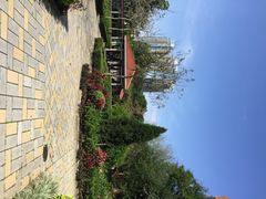 沙田公园-沙田公园