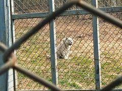 -哈尔滨北方森林动物园