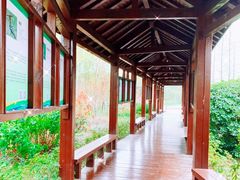 -昆山城市生态森林公园