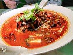 毛血旺-辛香汇·现炒川菜(淮海路百盛店)