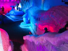 -大连海昌发现王国主题公园