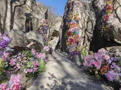-秦岭终南山世界地质公园翠华山景区