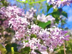 -好世界商业广场(北京国际中心店)