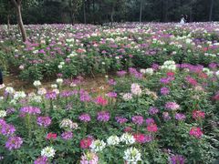 -艾溪湖湿地公园