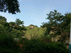 -火炉山森林公园