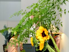 -如禾素食·下午茶·糖水