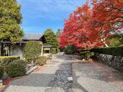 -天龙寺