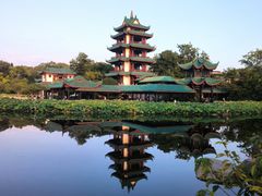 -桂湖森林公园