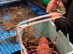 -东海怡品海鲜豆捞(舟宿夜江店)