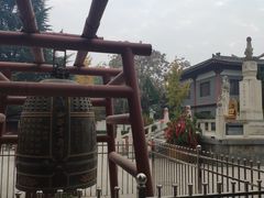 -西安乐游原