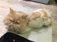 -小时光咖啡馆(开森度假森林店)