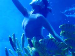 -太平洋海底世界博览馆·展览厅