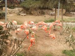 -无锡动物园·太湖欢乐园