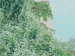 -府河摄影公园