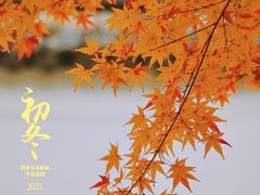 -秋霞圃