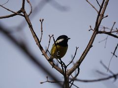 -北京西山国家森林公园