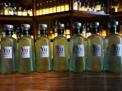 -SPEYSIDE 威士忌&鸡尾酒吧