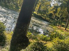 -杭州植物园