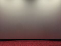 -USM宜欣全景声激光巨幕影城(宜欣城旗舰店)