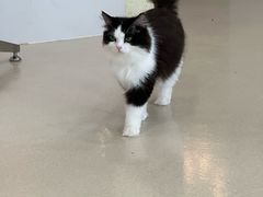 -共舞时光猫咖·狗咖(新街口店)